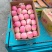 塑料筐外：525*360*280内：495*330*27