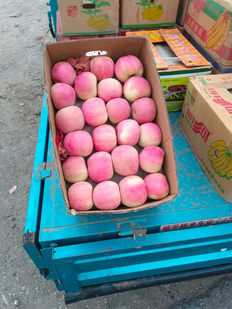 塑料筐外：525*360*280内：495*330*27