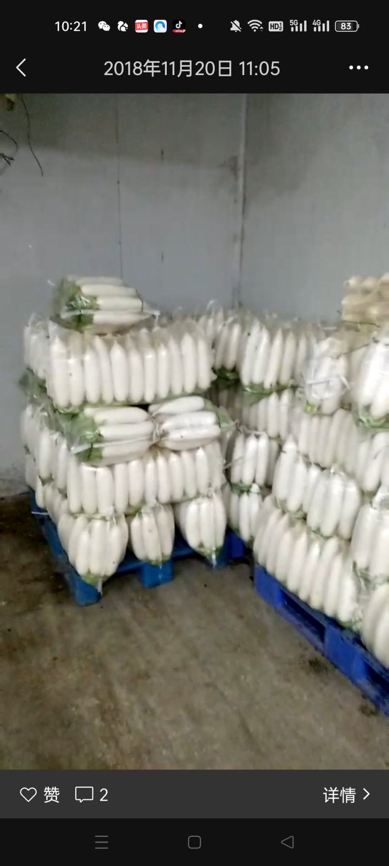 精品白萝卜。基地种植。欢迎客户采购。