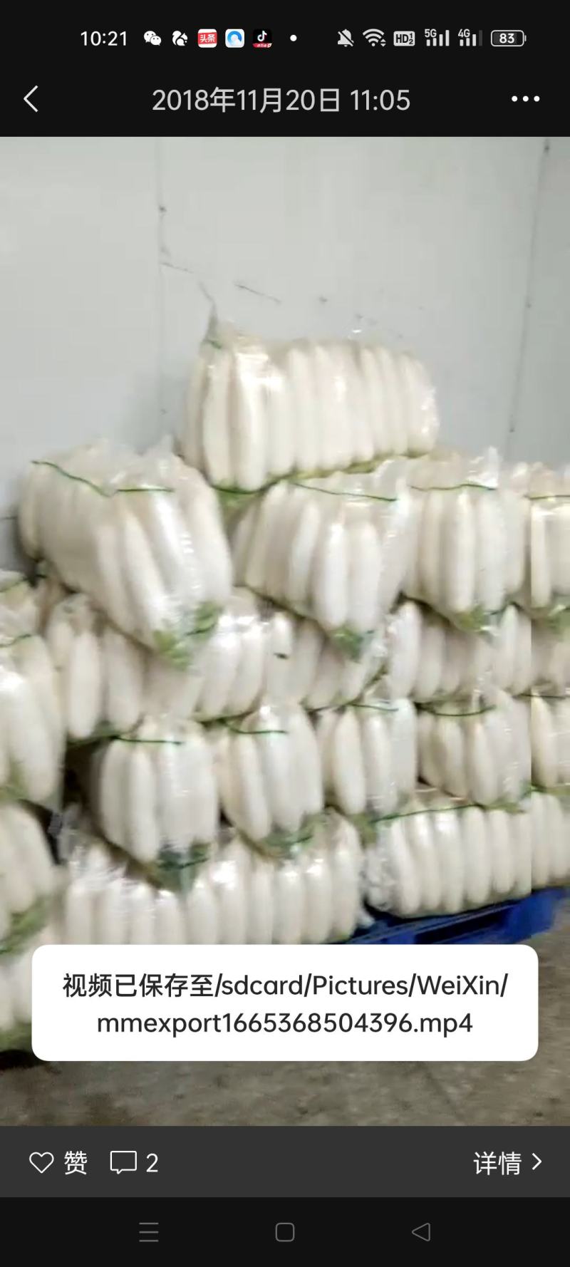 精品白萝卜。基地种植。欢迎客户采购。