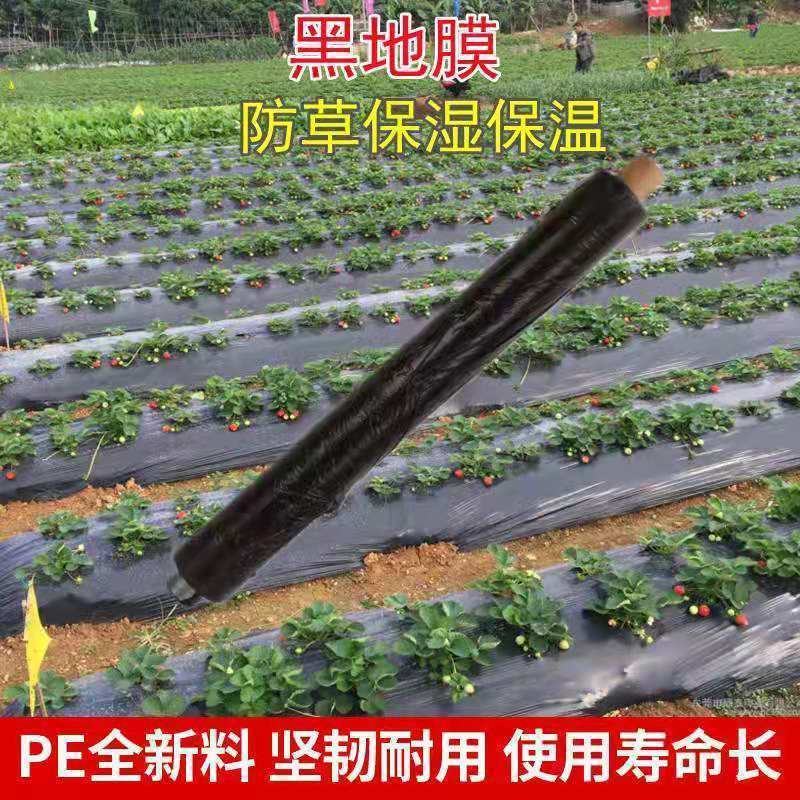 黑地膜，白地膜，银黑地膜保温保湿塑料膜果园蔬菜农用膜
