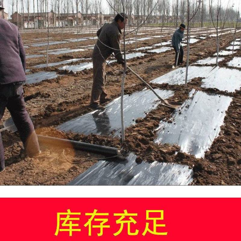 黑地膜，白地膜，银黑地膜保温保湿塑料膜果园蔬菜农用膜