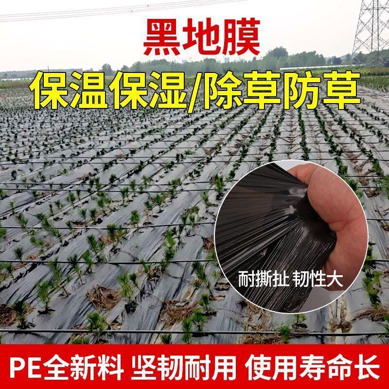 黑地膜，白地膜，银黑地膜保温保湿塑料膜果园蔬菜农用膜