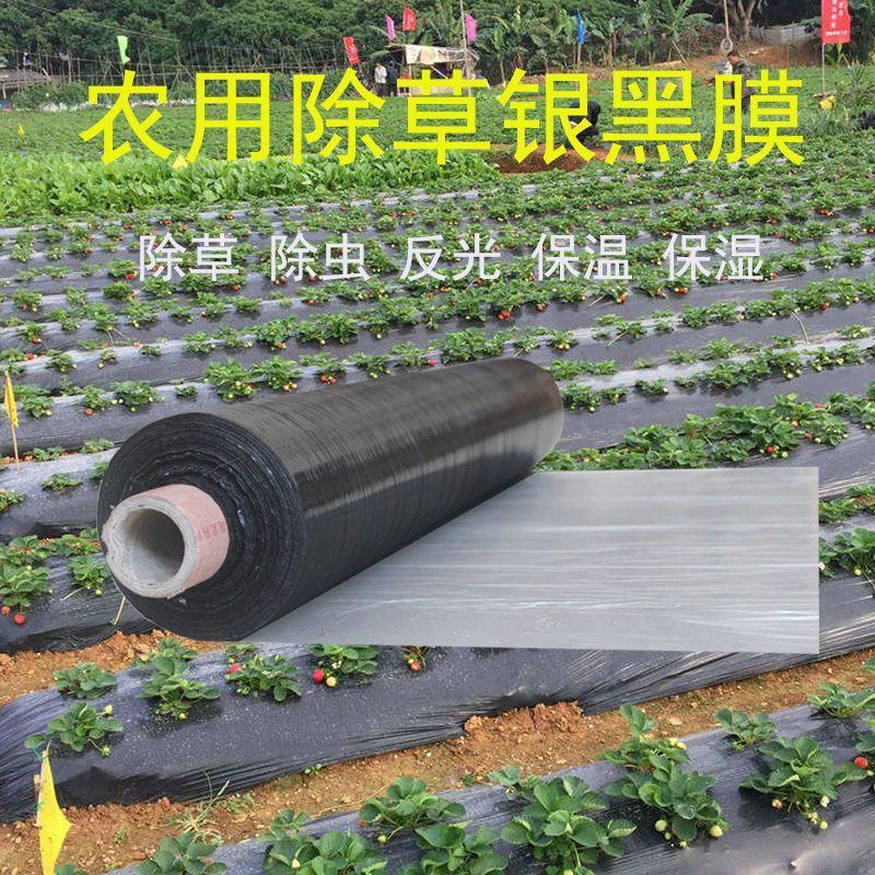 黑地膜，白地膜，银黑地膜保温保湿塑料膜果园蔬菜农用膜