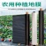 黑地膜，白地膜，银黑地膜保温保湿塑料膜果园蔬菜农用膜