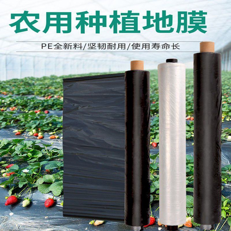 黑地膜，白地膜，银黑地膜保温保湿塑料膜果园蔬菜农用膜