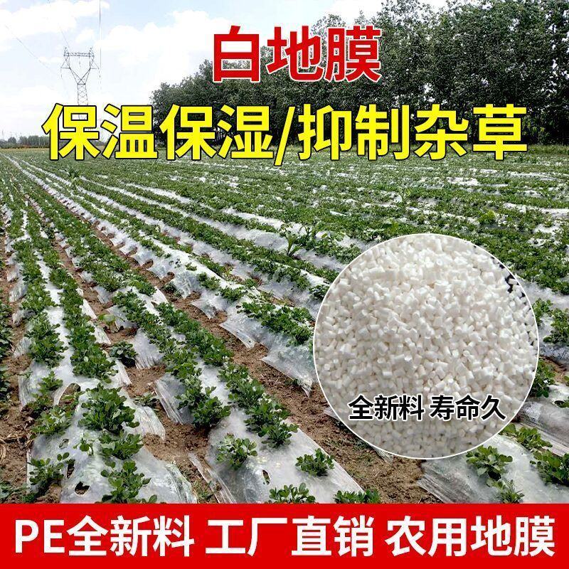 黑地膜，白地膜，银黑地膜保温保湿塑料膜果园蔬菜农用膜