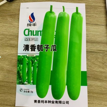 早熟长瓠瓜种春秋季瓠子瓜籽蒲瓜菜葫芦籽瓠瓜种子