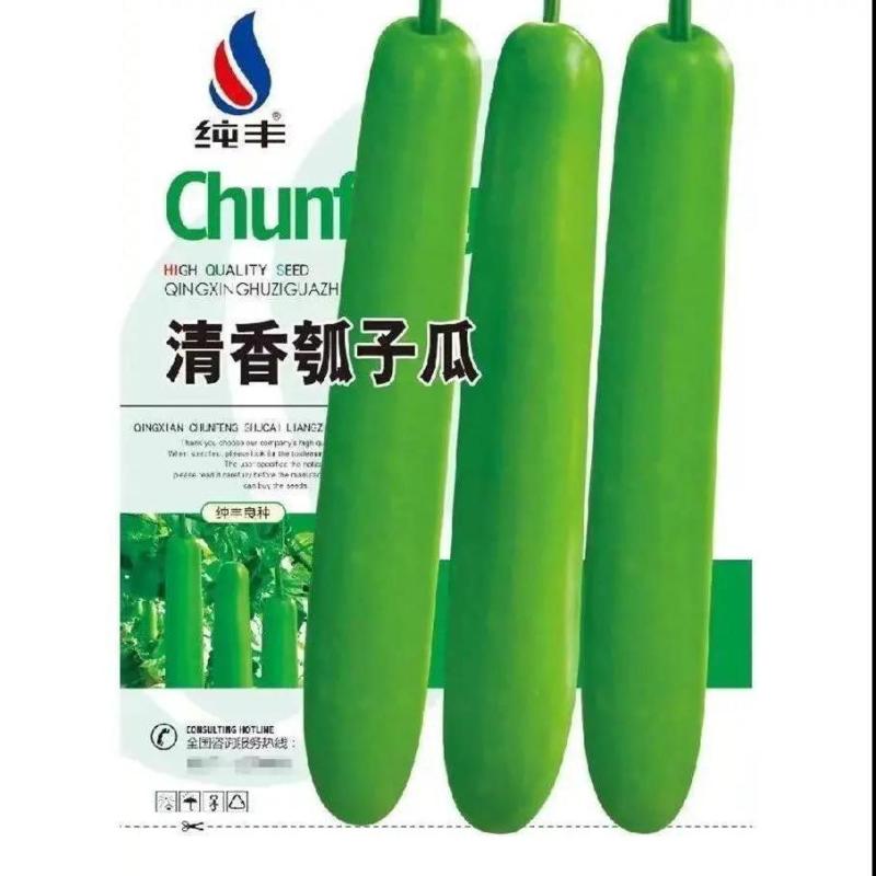 早熟长瓠瓜种春秋季瓠子瓜籽蒲瓜菜葫芦籽瓠瓜种子