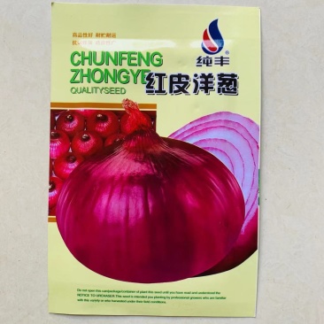 紫皮洋葱种子高产红皮圆洋葱种子四季播早熟抗病特大蔬菜种孑
