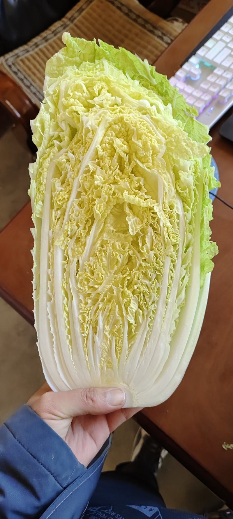 山东黄心白菜大量供应黄心白菜山东大白菜大小黄心白菜