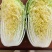 山东黄心白菜大量供应黄心白菜山东大白菜大小黄心白菜