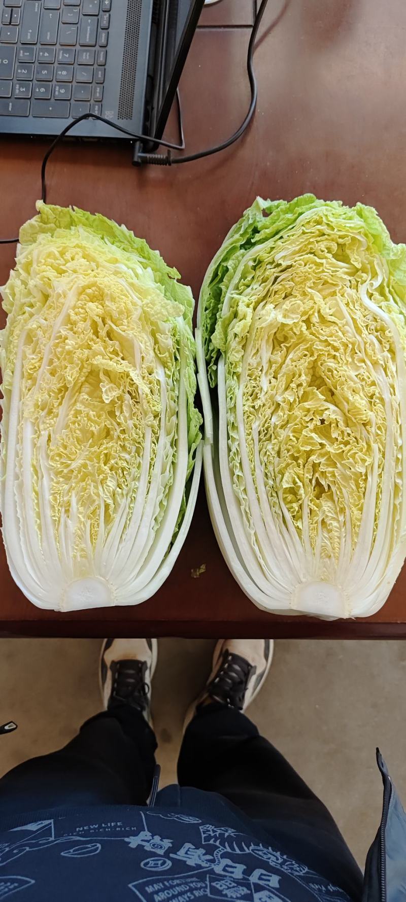 山东黄心白菜大量供应黄心白菜山东大白菜大小黄心白菜