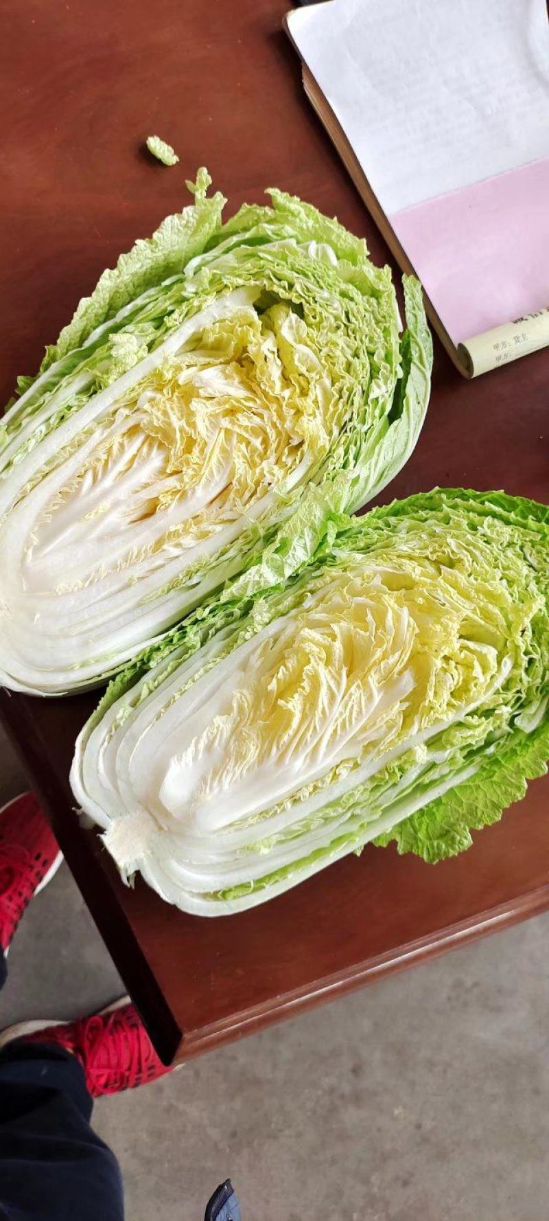 山东黄心白菜大量供应黄心白菜山东大白菜大小黄心白菜