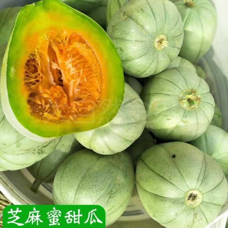 芝麻蜜甜瓜种子香瓜种子松脆香浓口感加农家庭院杂交甜瓜种子