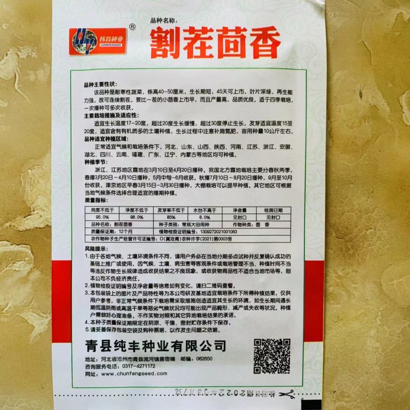 原装割茬茴香种子春季秋季多次采收茴香种籽四季易种茴香种子