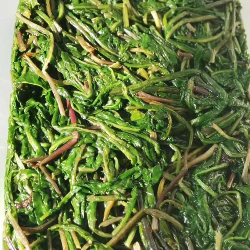 蒲公英婆婆丁速冻现挖加工批发