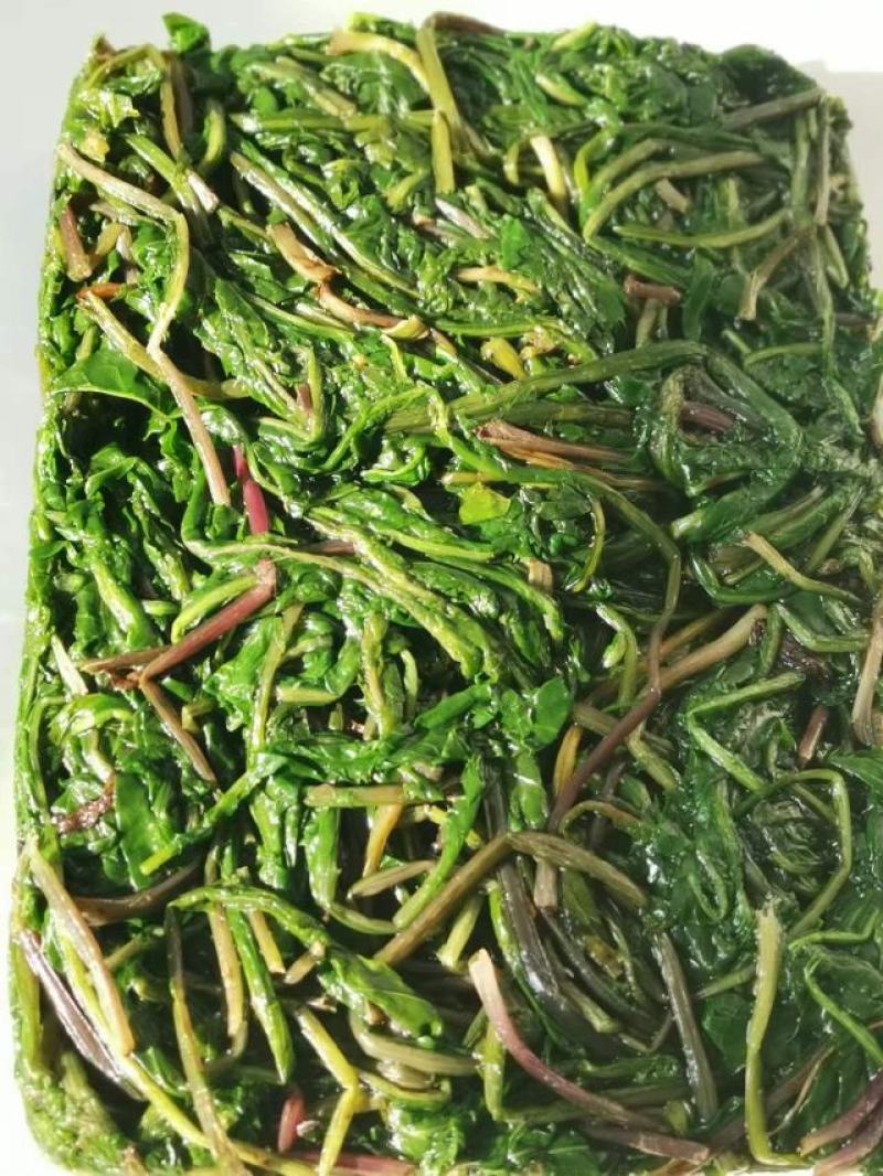 蒲公英婆婆丁速冻现挖加工批发