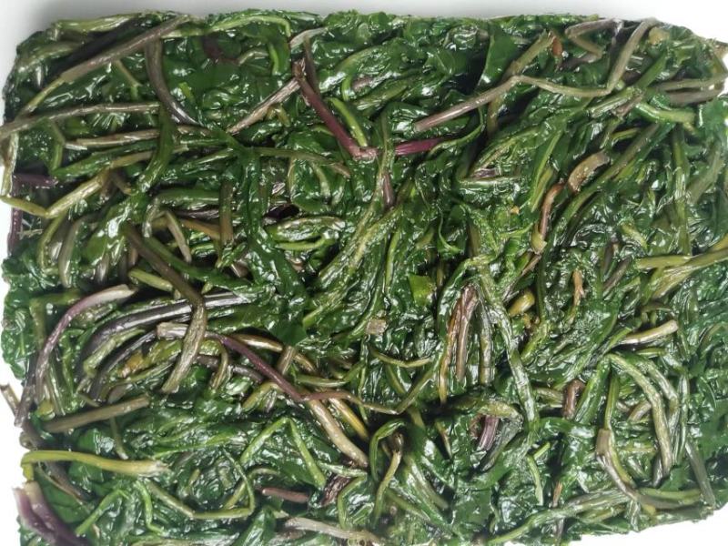 蒲公英婆婆丁速冻现挖加工批发