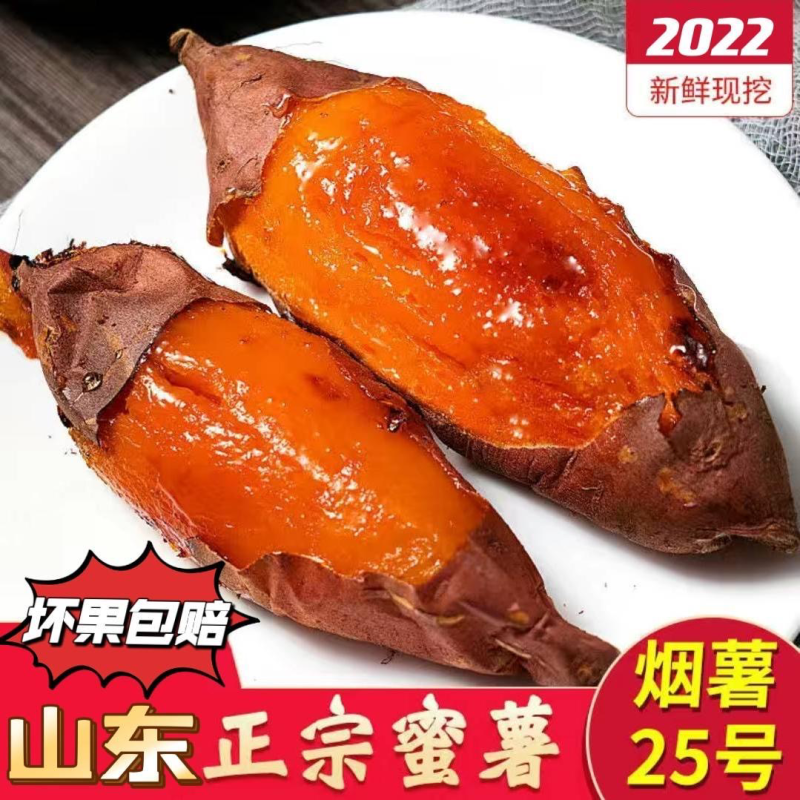 山东烟台烟薯25原产地真烟薯一件代发整车