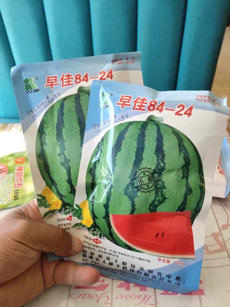 乐都早佳8424西瓜种子大果抗病抗裂含糖量高商品性强