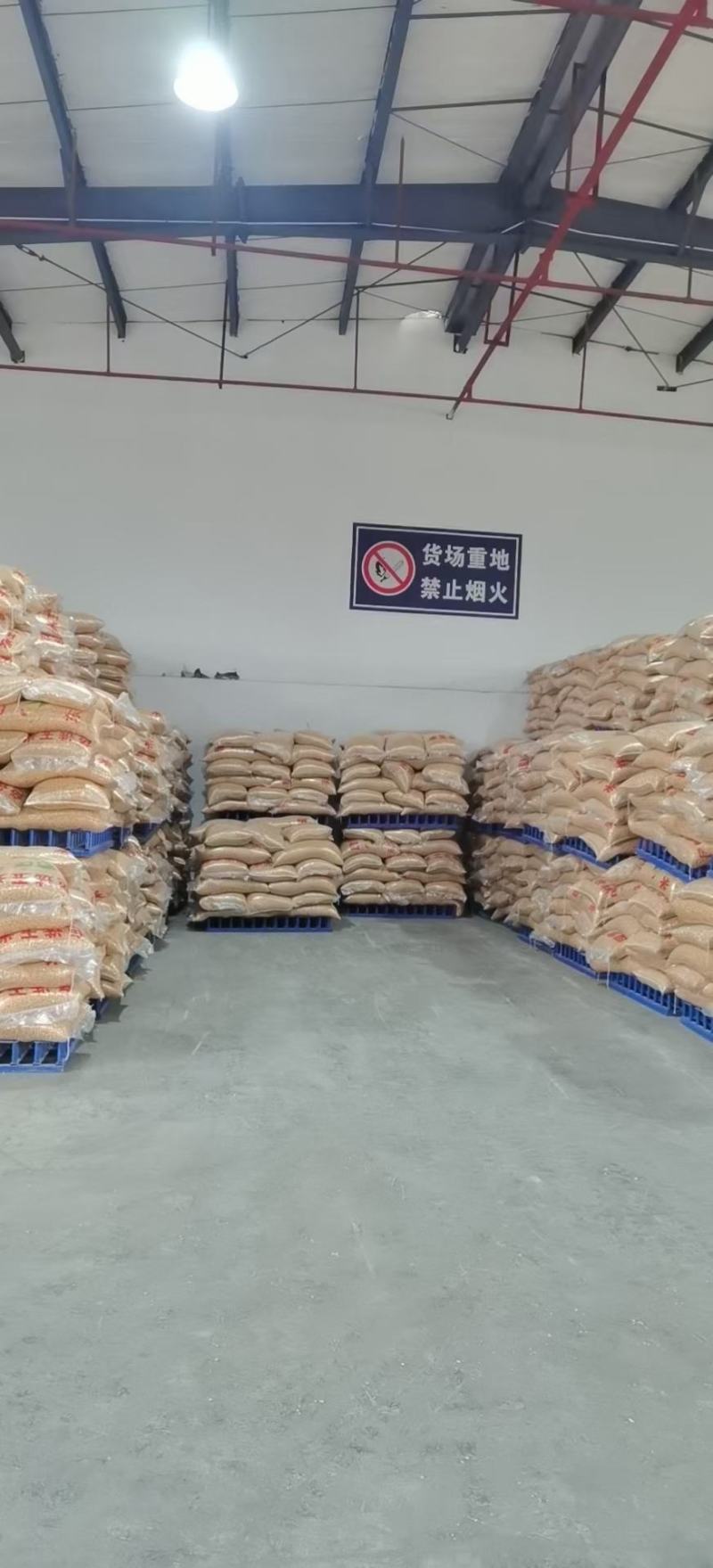 玉米出售