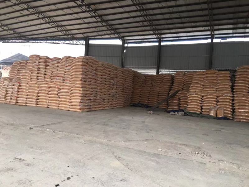 玉米出售