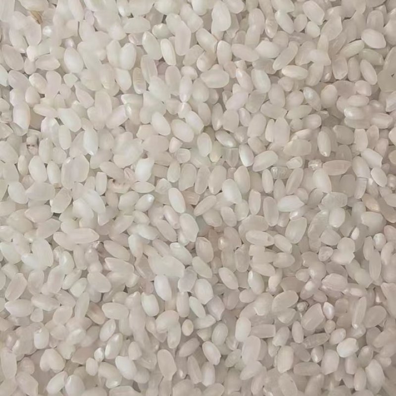 稻谷