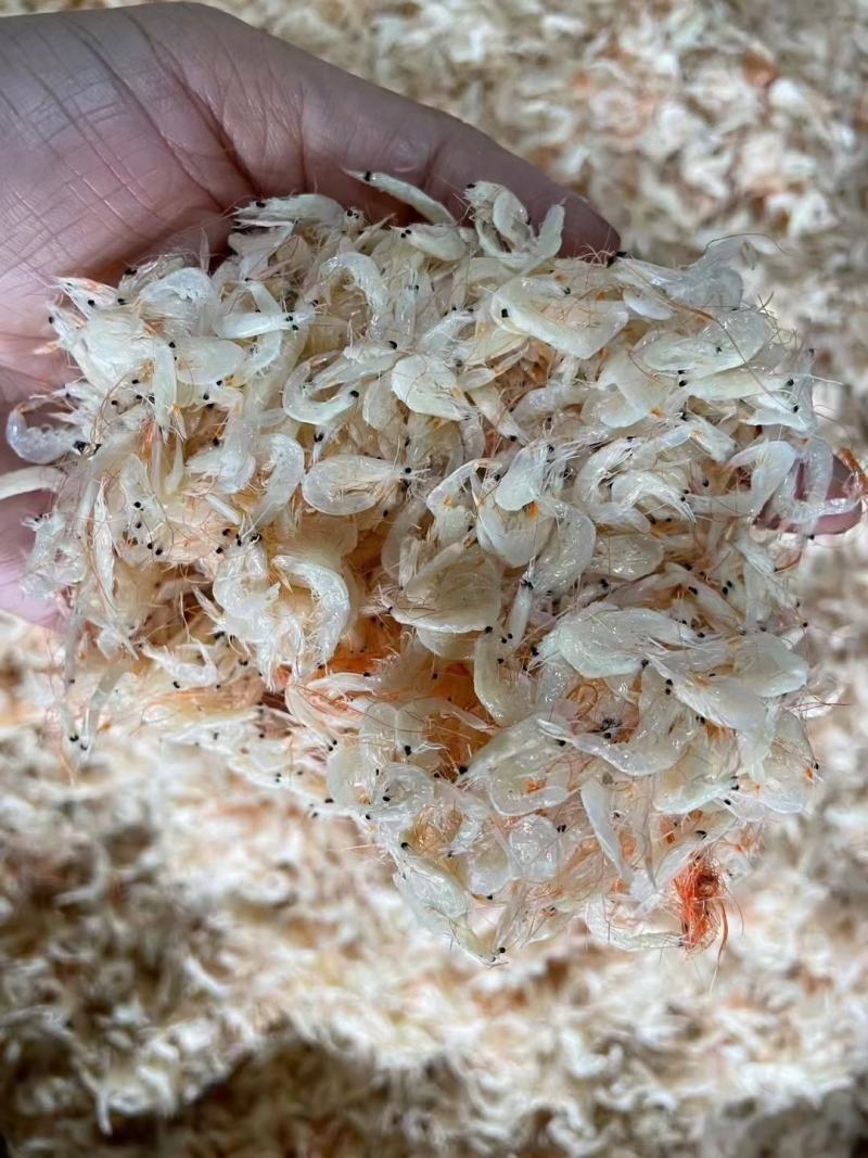 虾皮半干虾皮地摊十元一碗散装虾皮虾米商超夜市展会跑江湖