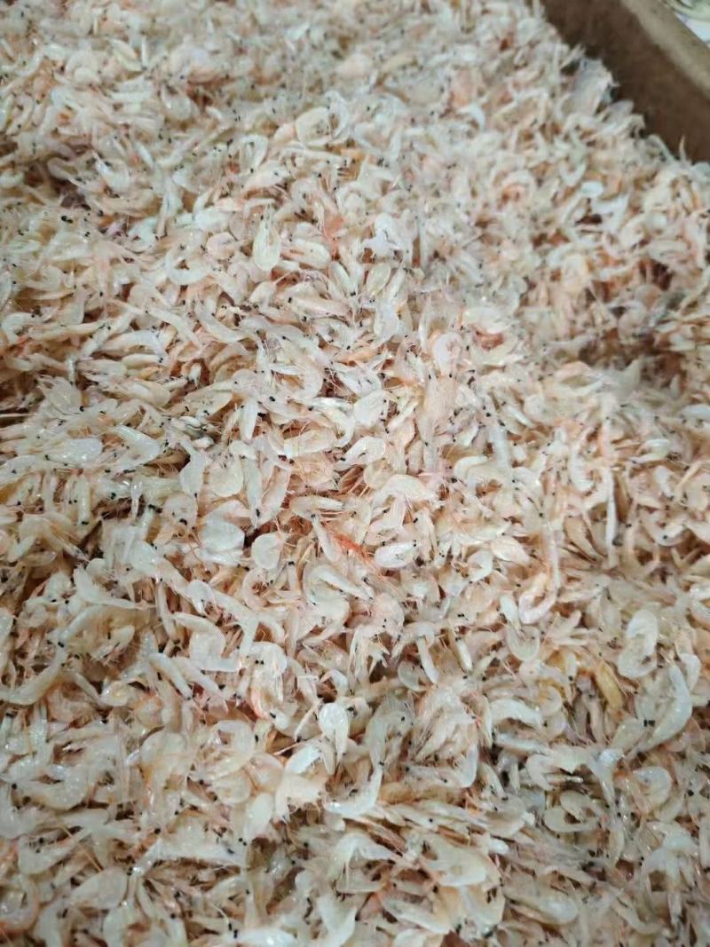 虾皮半干虾皮地摊十元一碗散装虾皮虾米商超夜市展会跑江湖