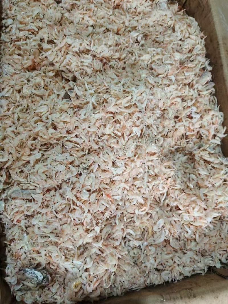 虾皮半干虾皮地摊十元一碗散装虾皮虾米商超夜市展会跑江湖