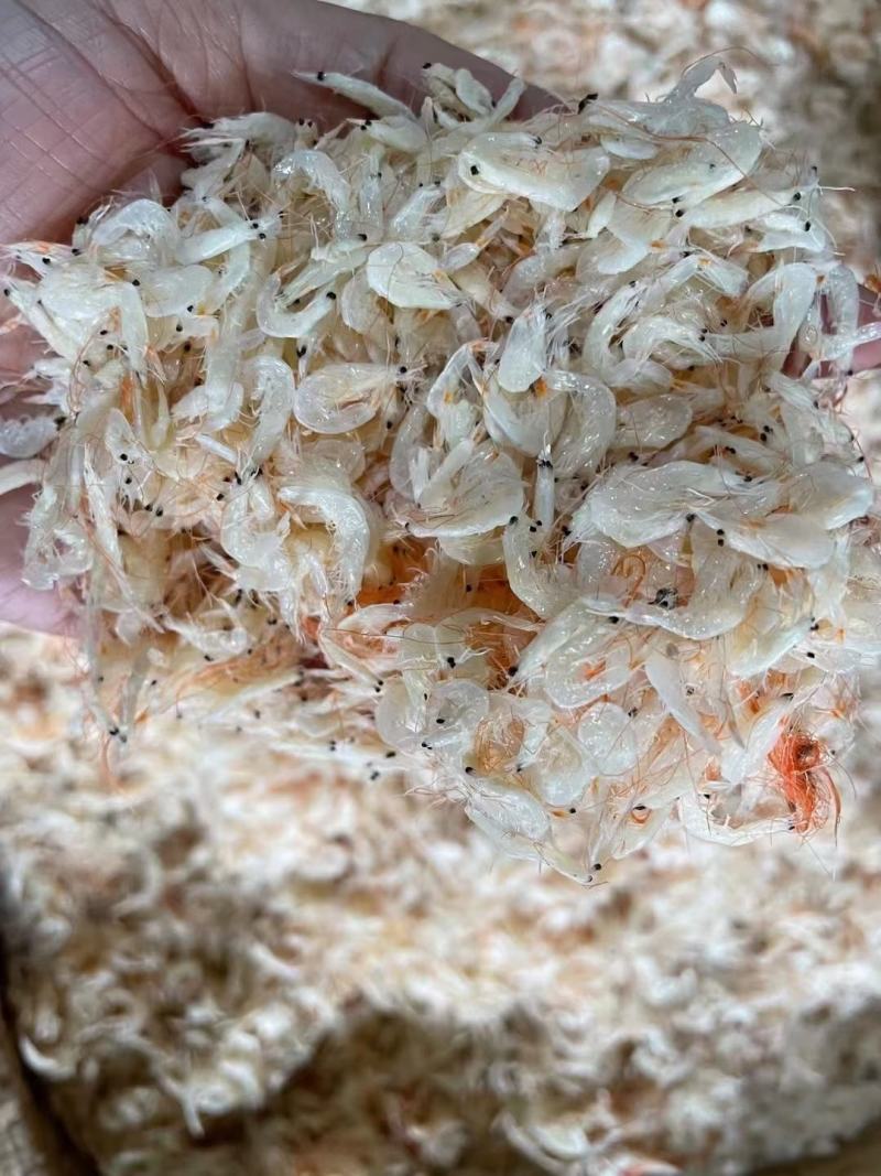 虾皮半干虾皮地摊十元一碗散装虾皮虾米商超夜市展会跑江湖