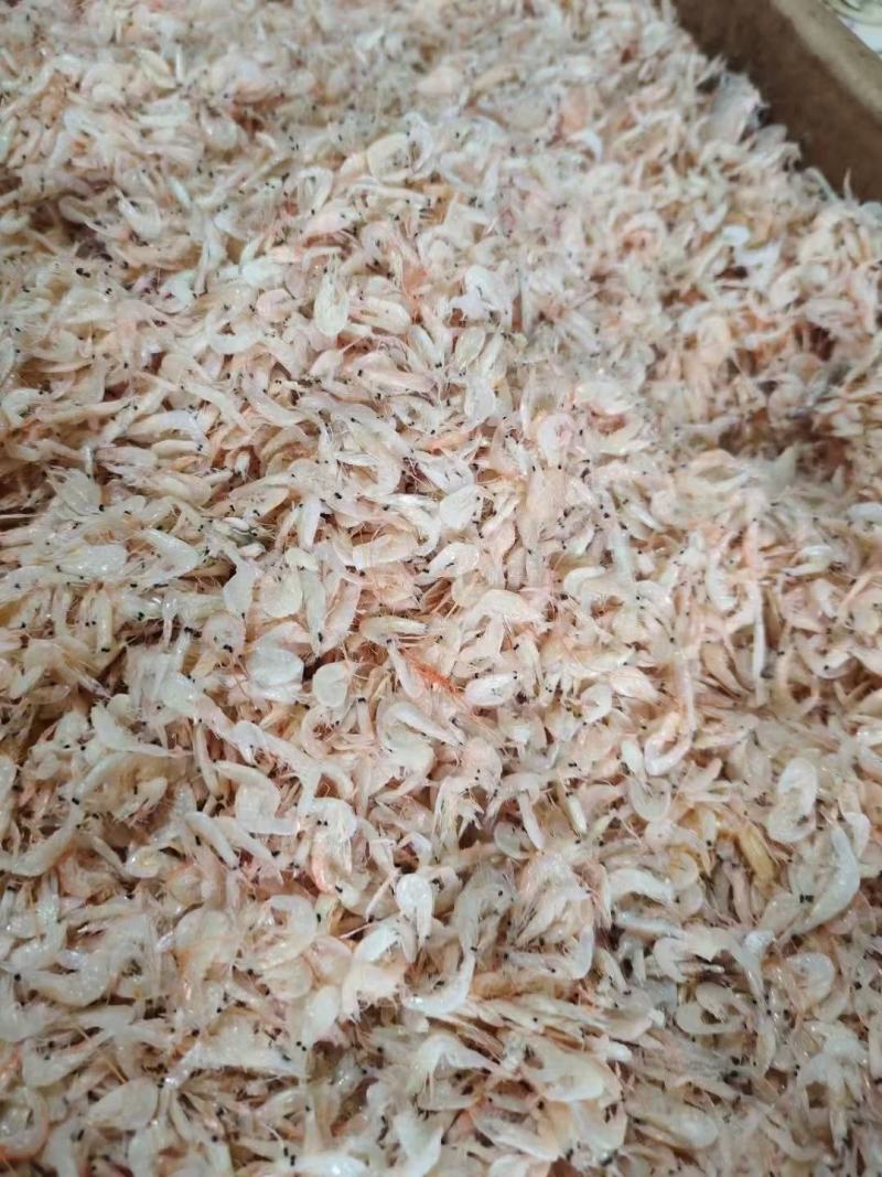 虾皮半干虾皮地摊十元一碗散装虾皮虾米商超夜市展会跑江湖