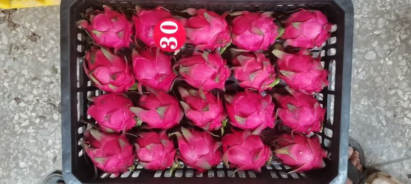 火龙果203040各一个挂以上，渠道打包标准