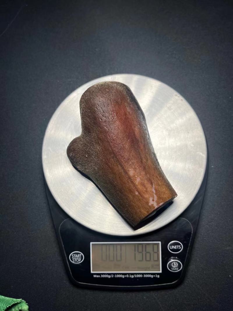 新鲜鹿茸现货图，全是现货大量批发，超低价