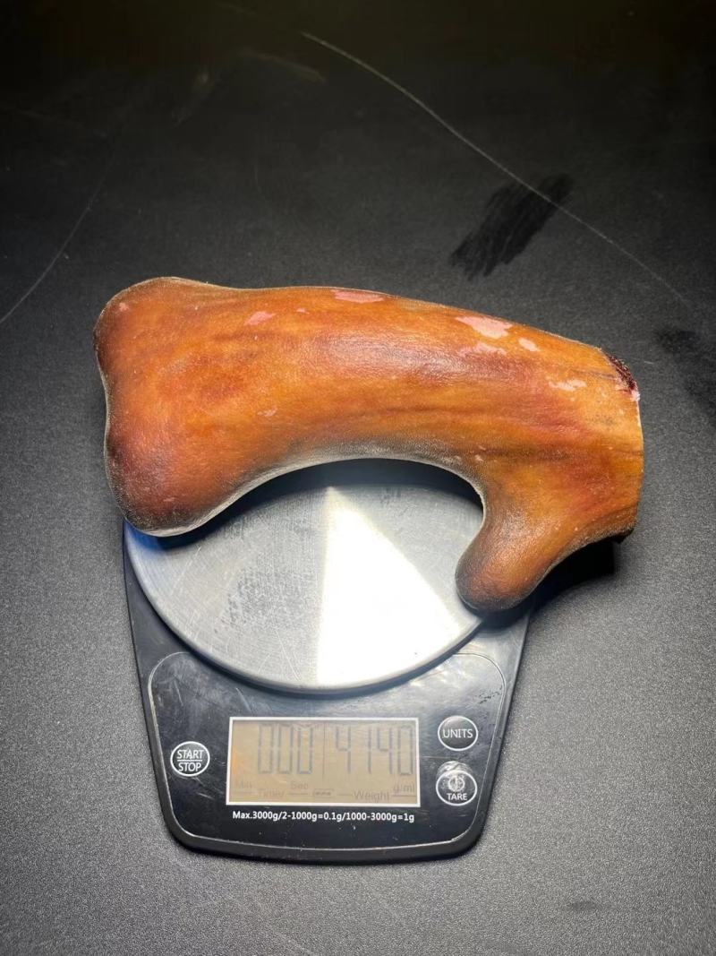新鲜鹿茸现货图，全是现货大量批发，超低价