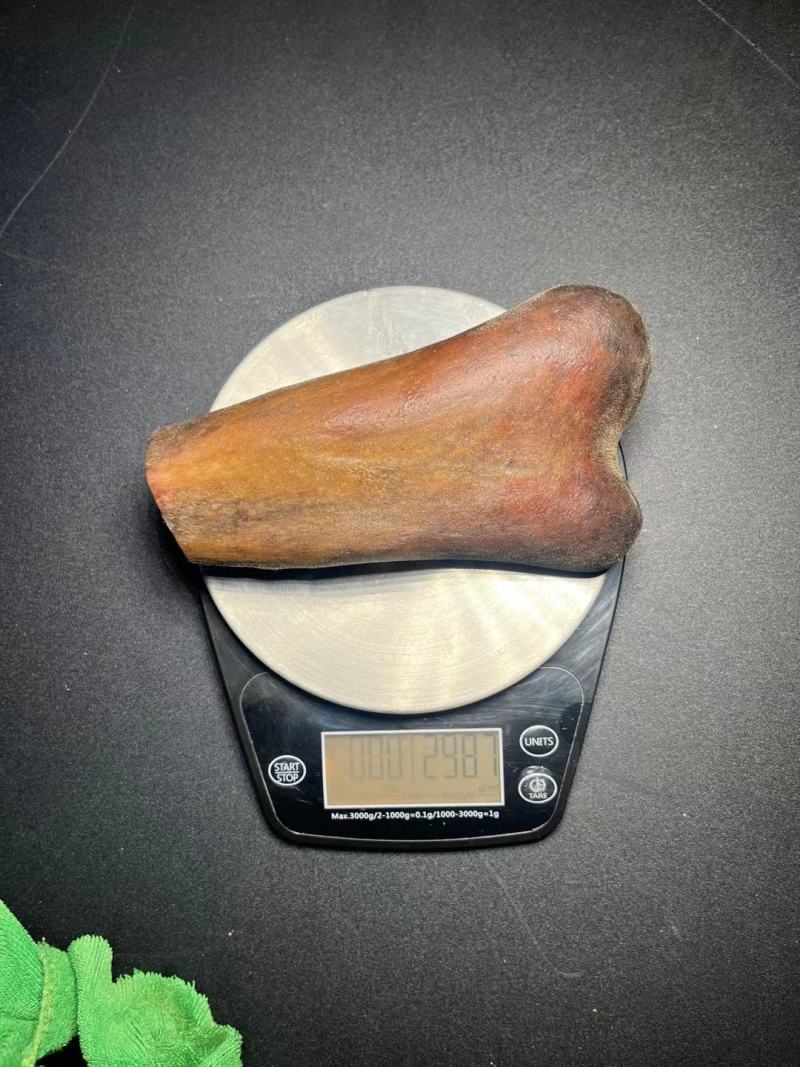 新鲜鹿茸现货图，全是现货大量批发，超低价