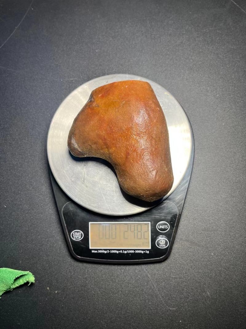 新鲜鹿茸现货图，全是现货大量批发，超低价
