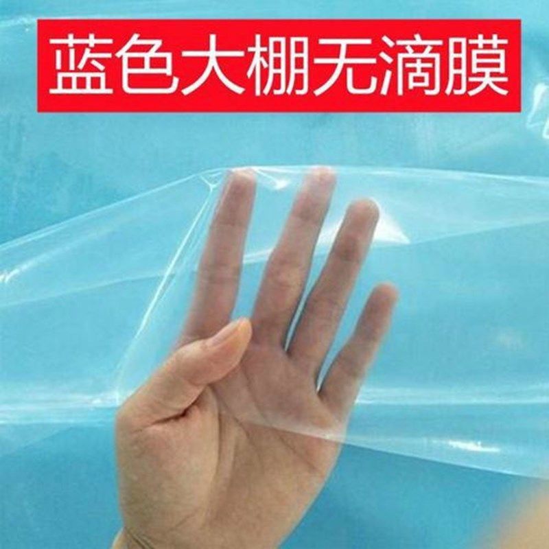 定制大棚膜PO无滴膜加厚透明抗老化塑料薄膜批发蔬菜大棚