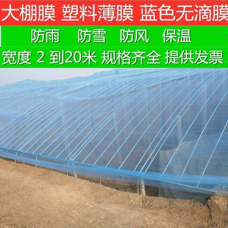 定制大棚膜PO无滴膜加厚透明抗老化塑料薄膜批发蔬菜大棚