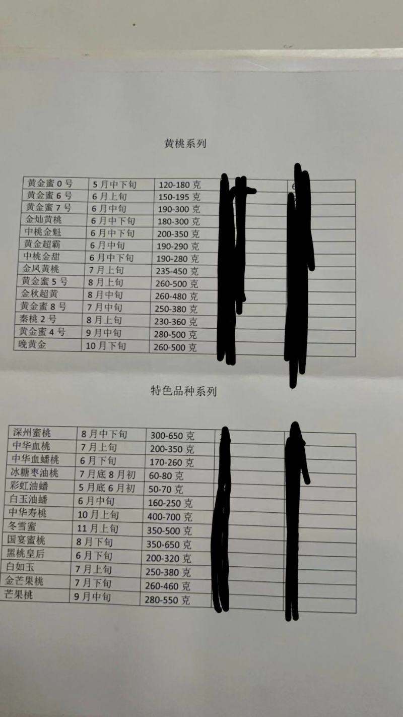 新品种桃树苗蟠桃苗红黄提供技术支持基地直供邢台威县