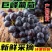 一件代发推荐东北巨峰葡萄自然果无核葡萄产地直发
