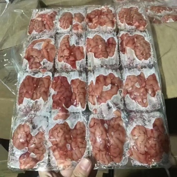 单冻羊脑