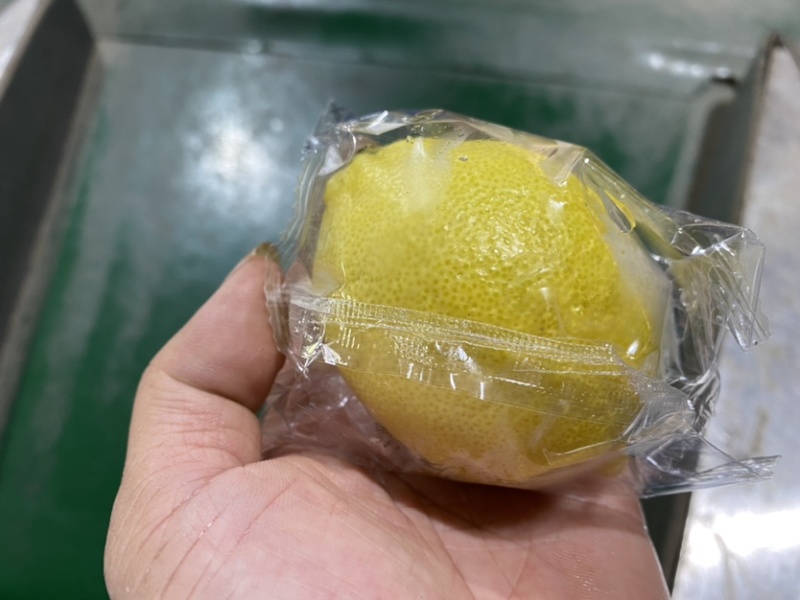 基地直供黄柠檬