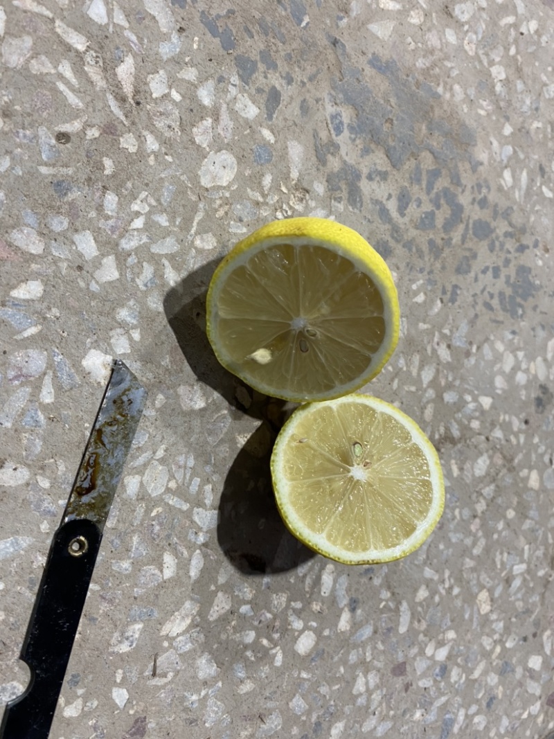 基地直供黄柠檬