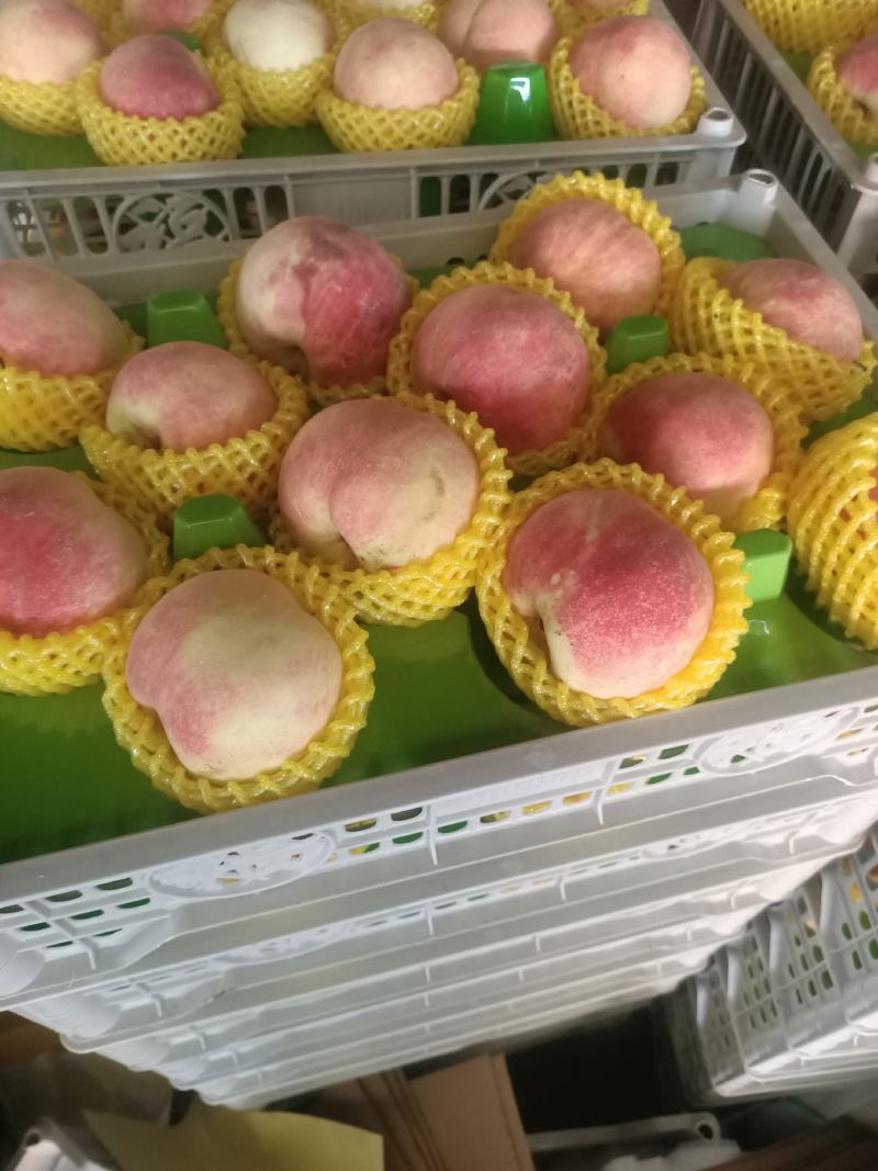 金秋红蜜