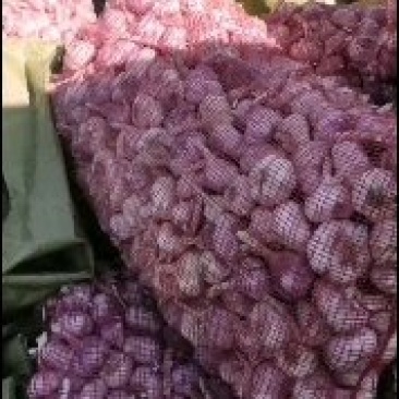 大蒜种子:
