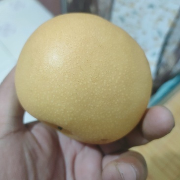 秋月梨商场超市电商货均有，大中小个头均有，