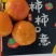临猗角杯阳丰甜脆柿