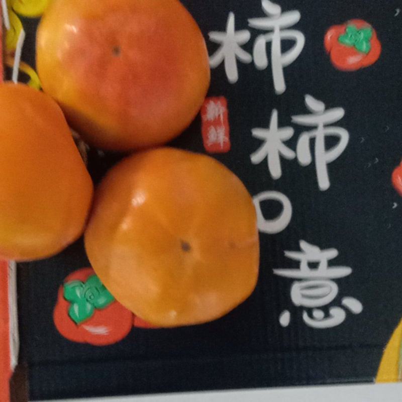 临猗角杯阳丰甜脆柿